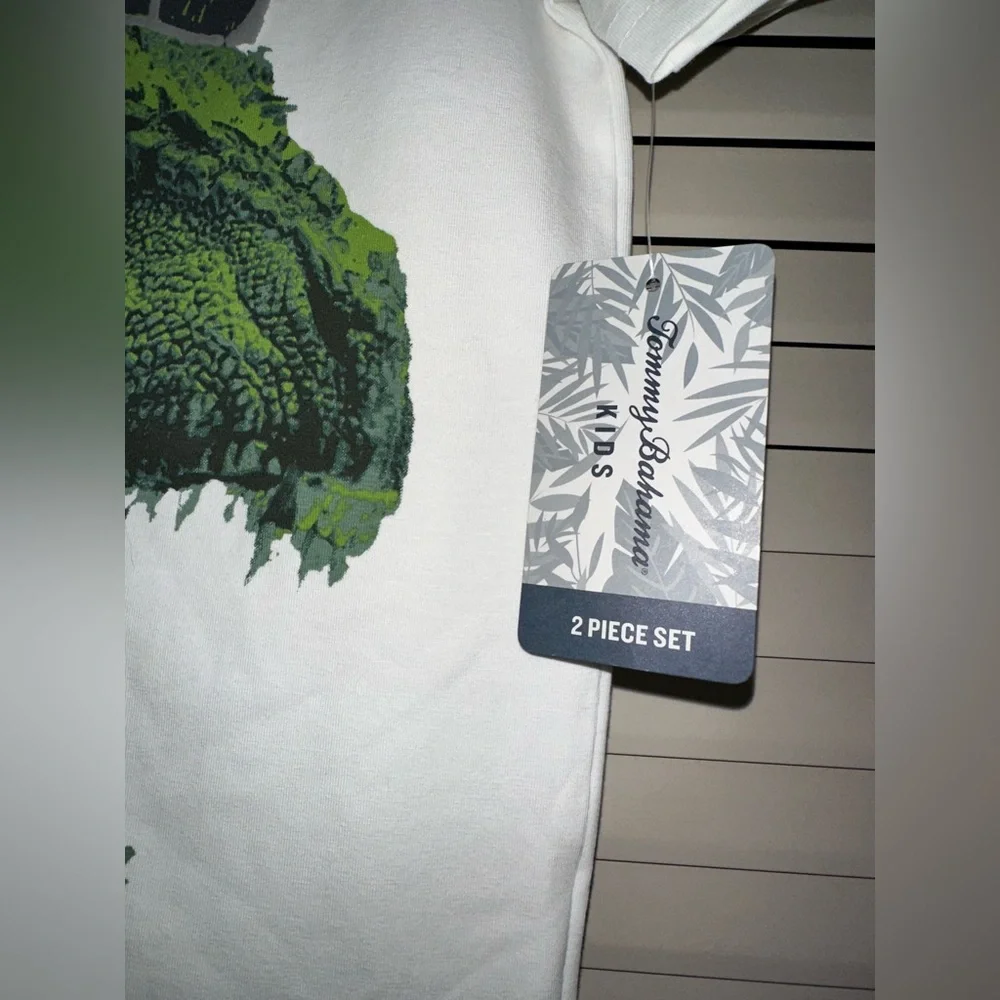 Boys Size 7/8 Tommy Bahama 2 Piece Dinosaur Set - Picture 3 of 6